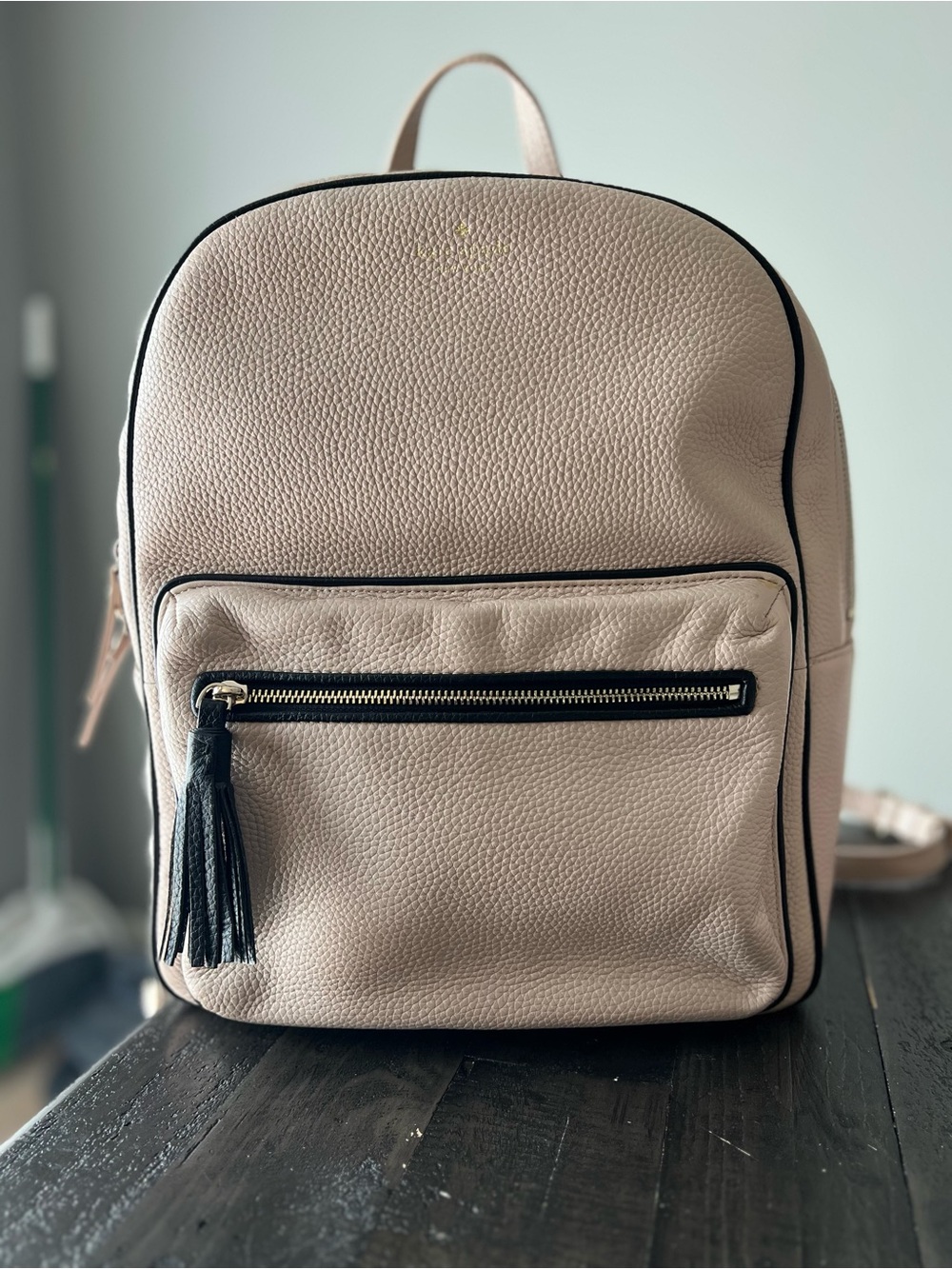 kate spade Chester Street Aveline Blush Beige Pebbled Leather Backpack
